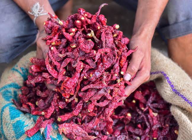 ಬ್ಯಾಡಗಿ ಒಣ ಮೆಣಸು