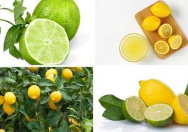 ನಿಂಬೆ ಹಣ್ಣಿನ ಉಪಯೋಗ