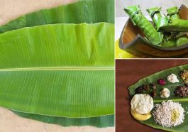 ಬಾಳೆ ಎಲೆಯ ಆರೋಗ್ಯ ಪ್ರಯೋಜನಗಳು