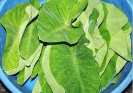 ಕೆಸುವಿನ ಸೊಪ್ಪಿನ ಉಪಯೋಗ