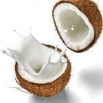ತೆಂಗಿನ ಹಾಲು ಉಪಯೋಗಿಸುವ ರೀತಿಗಳು ಹೀಗಿವೆ 27 ತೆಂಗಿನ ಹಾಲು