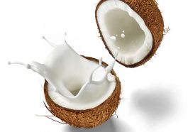 ತೆಂಗಿನ ಹಾಲು