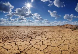 ಬರ/ಜಲಕ್ಷಾಮ