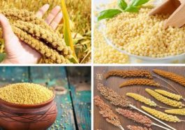 ಕಿರುಧಾನ್ಯಗಳು