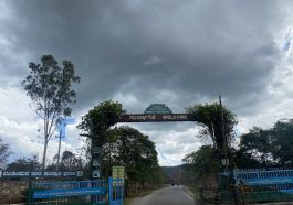 ರಾಷ್ಟ್ರೀಯ ಉದ್ಯಾನವನ