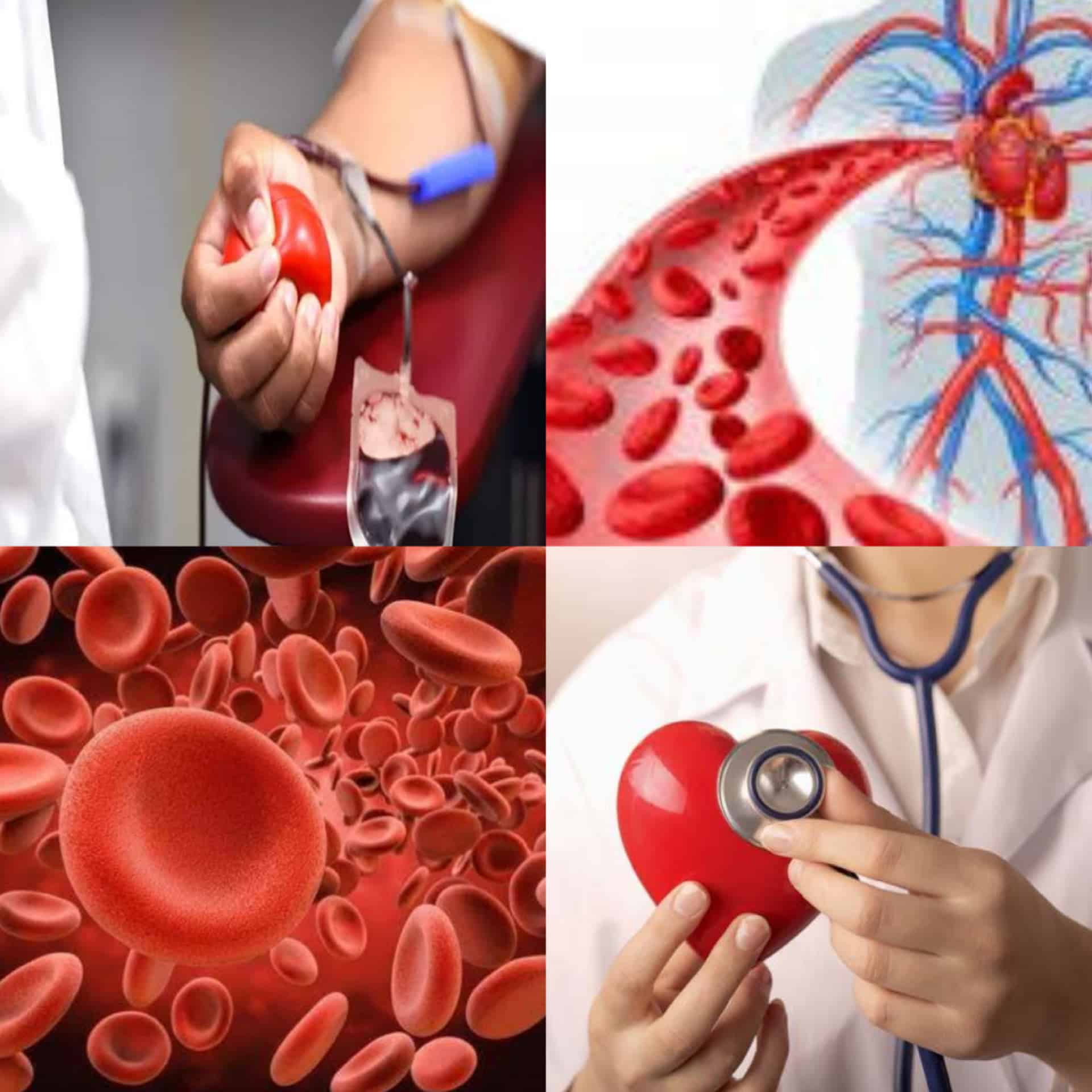 ಕೆಂಪು ರಕ್ತಕಣಗಳು