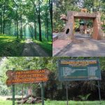 ಪರಾಂಬಿಕುಲಂ ವನ್ಯಜೀವಿಗಳ ಅಭಯಾರಣ್ಯ