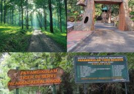 ಪರಾಂಬಿಕುಲಂ ವನ್ಯಜೀವಿಗಳ ಅಭಯಾರಣ್ಯ
