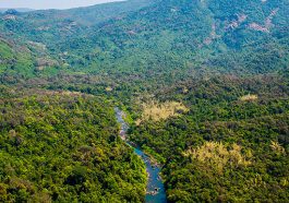 ಅಭಯಾರಣ್ಯ