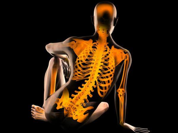 ಅಸ್ಥಿಪಂಜರದ ಇತಿಹಾಸ