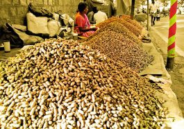 ಕಡಲೆಕಾಯಿ ಪರಿಷೆ