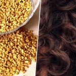 ಕೂದಲಿನ ಆರೈಕೆಗೆ ಮೆಂತ್ಯ