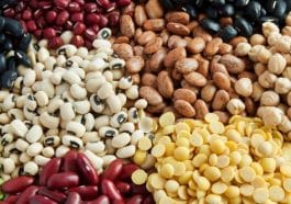 ಬೇಳೆಕಾಳುಗಳನ್ನು ತಿನ್ನುವುದರಿಂದ ಏನು ಪ್ರಯೋಜನ