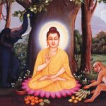 ಬೌದ್ಧ ಧರ್ಮದ ಸ್ಥಾಪಕ