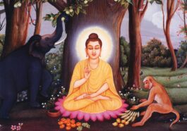 ಬೌದ್ಧ ಧರ್ಮದ ಸ್ಥಾಪಕ