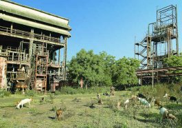 ಭೊಪಾಲ್‌ ವಿಷಾನಿಲ ದುರಂತ