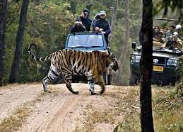 ರಾಜ್ಯದಲ್ಲಿಯೇ ಎರಡನೇ ದೊಡ್ಡ ವನ್ಯಜೀವಿಧಾಮ