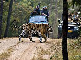 ರಾಜ್ಯದಲ್ಲಿಯೇ ಎರಡನೇ ದೊಡ್ಡ ವನ್ಯಜೀವಿಧಾಮ