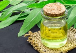 ನೀಲಗಿರಿ ಎಣ್ಣೆ