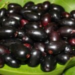 ನೇರಳೆ ಹಣ್ಣು ಈಡೀ ದೇಹದ ಆರೋಗ್ಯಕ್ಕೆ ಪ್ರಯೋಜನಕಾರಿಯಾಗಿದೆ 26 ನೇರಳೆ ಹಣ್ಣು