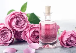 ರೋಸ್ ವಾಟರ್ ಸೌಂದರ್ಯ ವರ್ಧಕ ಮಾತ್ರವಲ್ಲ