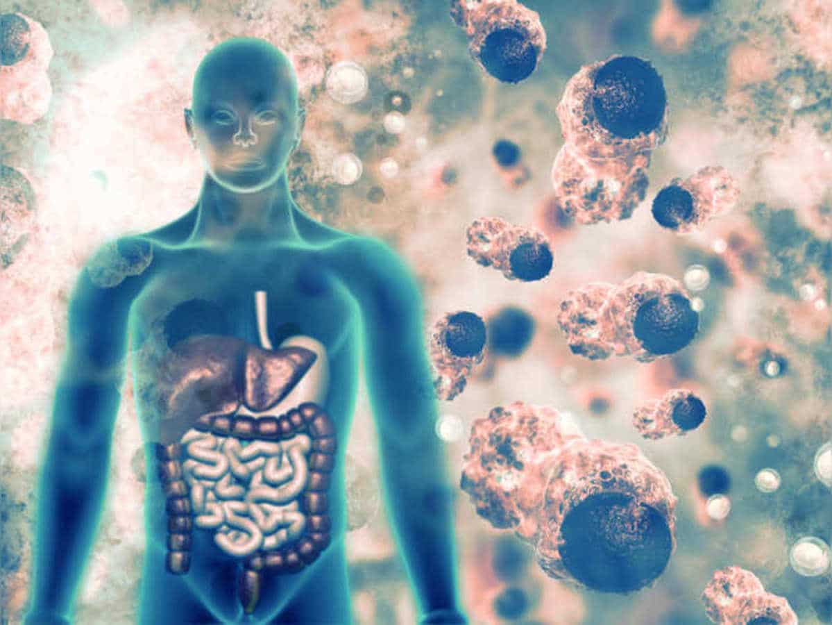 ದೇಹದ ರೋಗ ನಿರೋಧಕ ಶಕ್ತಿಯನ್ನು ಹೆಚ್ಚಿಸುವುದು ಹೇಗೆ? 1 ರೋಗ ನಿರೋಧಕ ಶಕ್ತಿಯನ್ನು ಹೆಚ್ಚಿಸುವುದು ಹೇಗೆ?