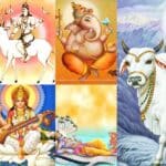 ದೇವರುಗಳು ಮತ್ತು ಅವರ ವಾಹನಗಳು 27 ದೇವರುಗಳು ಮತ್ತು ಅವರ ವಾಹನಗಳು