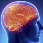 ನೆನಪಿನ ಶಕ್ತಿಯ ಅಭಿವೃದ್ಧಿಗೆ ಅನುಸರಿಸಿ ಸರಳ ಉಪಾಯಗಳನ್ನು 27 ನೆನಪಿನ ಶಕ್ತಿಯ ಅಭಿವೃದ್ಧಿ