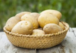 ಆಲೂಗಡ್ಡೆ ಪ್ರಯೋಜನ ಹೀಗಿದೆ