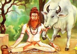 ದಧೀಚಿಯು ಒಬ್ಬ ಮಹಾನ್ ಋಷಿ