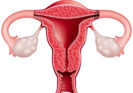 ಗರ್ಭಕೋಶದ ಆರೋಗ್ಯಕ್ಕೆ ಹಲವಾರು ಪರಿಹಾರ