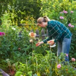 ಮನೆ ಸುತ್ತ ಮುತ್ತ ಈ ಗಿಡಗಳನ್ನು ನೆಟ್ಟರೆ, ಸಣ್ಣ ಸಣ್ಣ ಕೀಟಗಳಿಂದ ಮುಕ್ತಿ ಪಡೆಯಬಹುದು 27 ಮನೆ ಸುತ್ತ ಮುತ್ತ ಈ ಗಿಡಗಳನ್ನು ನೆಟ್ಟರೆ, ಸಣ್ಣ ಸಣ್ಣ ಕೀಟಗಳಿಂದ ಮುಕ್ತಿ ಪಡೆಯಬಹುದು