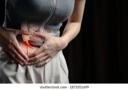 ಅಪೆಂಡಿಕ್ಸ್