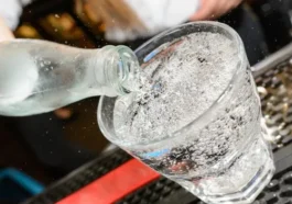 ಸೋಡಾ ನೀರು ಅತಿಯಾಗಿ ಕುಡಿಯುತ್ತೀರಾ?