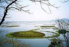 ವಿಶ್ವ ತೇವಭೂಮಿ ದಿನ