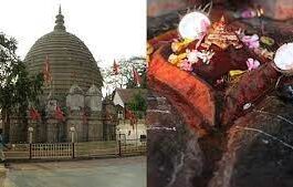 ಕಲ್ಲಿನ ಯೋನಿರೂಪವೇ ಕಾಮಾಕ್ಯದಲ್ಲಿ ಪೂಜೆಗೊಳ್ಳುತ್ತಿರುವುದು