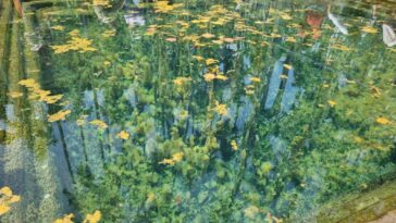 ಗುಳಿ ಗುಳಿ ಶಂಕರ ದೇವಾಲಯ