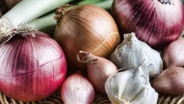 ಕೆಲವು ಬ್ರಾಹ್ಮಣರು ಈರುಳ್ಳಿ ಮತ್ತು ಬೆಳ್ಳುಳ್ಳಿಯನ್ನು ಏಕೆ ತಿನ್ನುವುದಿಲ್ಲ?