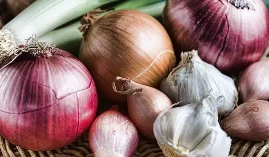 ಕೆಲವು ಬ್ರಾಹ್ಮಣರು ಈರುಳ್ಳಿ ಮತ್ತು ಬೆಳ್ಳುಳ್ಳಿಯನ್ನು ಏಕೆ ತಿನ್ನುವುದಿಲ್ಲ?