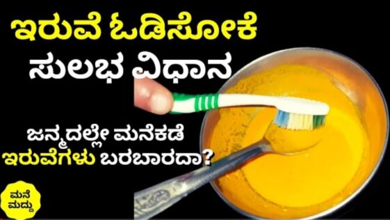 ಇರುವೆ ಓಡಿಸೋಕೆ ಸುಲಭ ವಿಧಾನ..